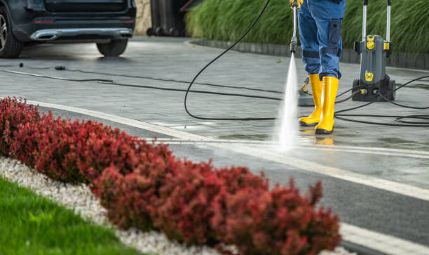 Boat and Dock Cleaning in Zachary, LA